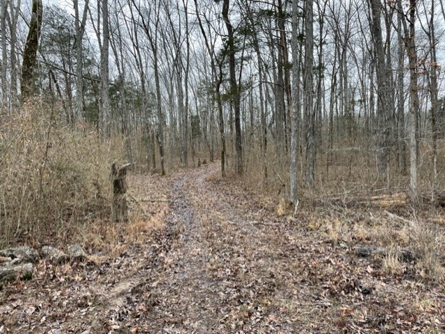 0 Highway 64 Arnold Road, E Wartrace TN 37183