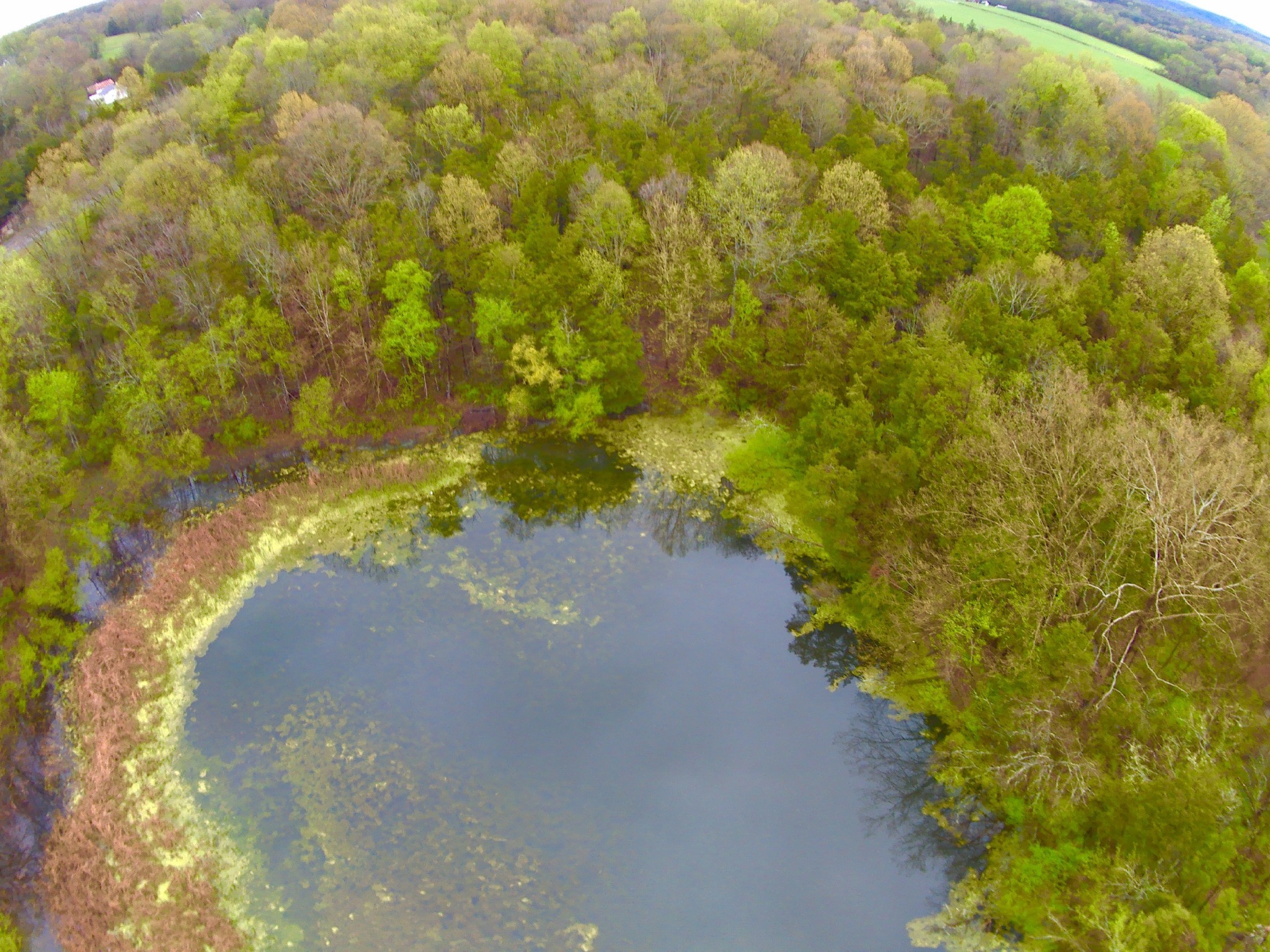 0 Highway 64 Arnold Road, E Wartrace TN 37183