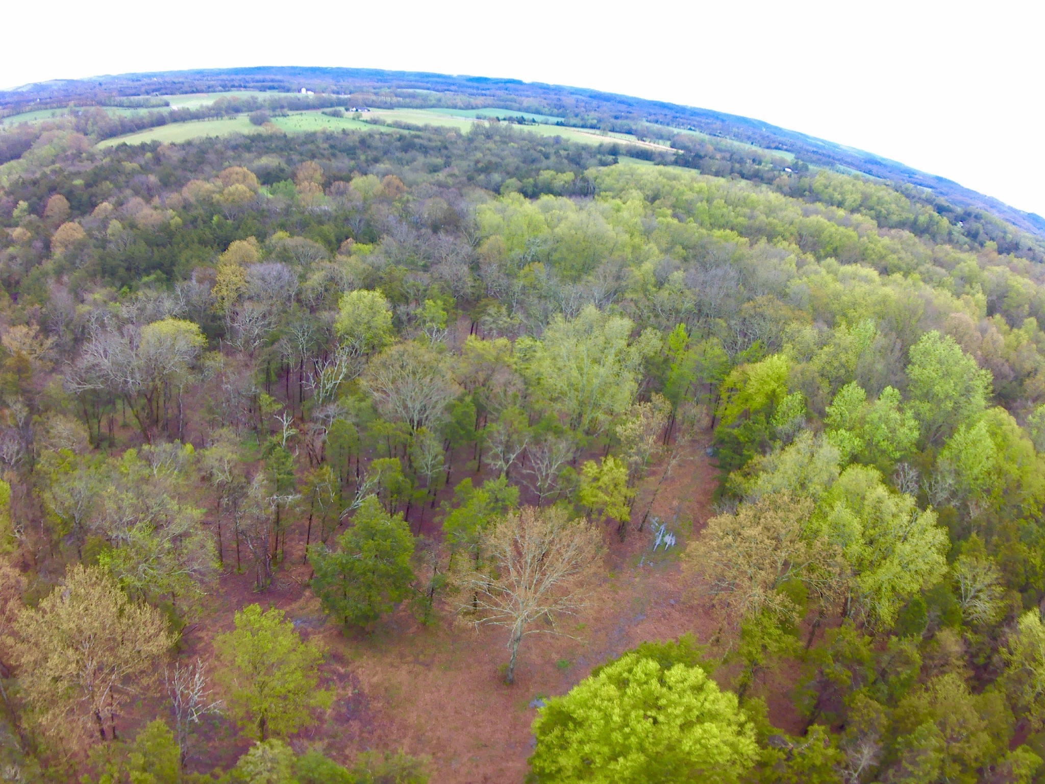 0 Highway 64 Arnold Road, E Wartrace TN 37183