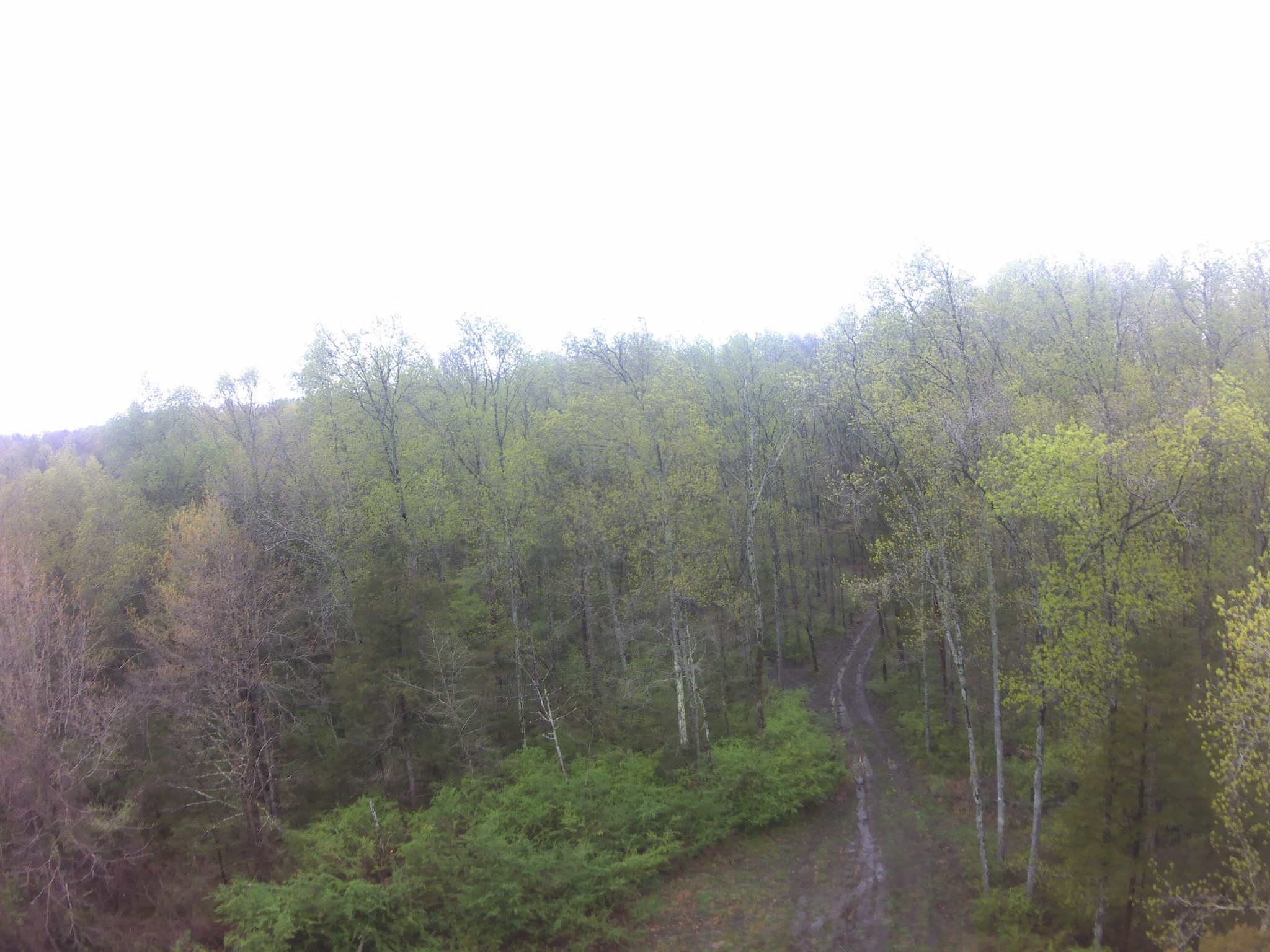0 Highway 64 Arnold Road, E Wartrace TN 37183