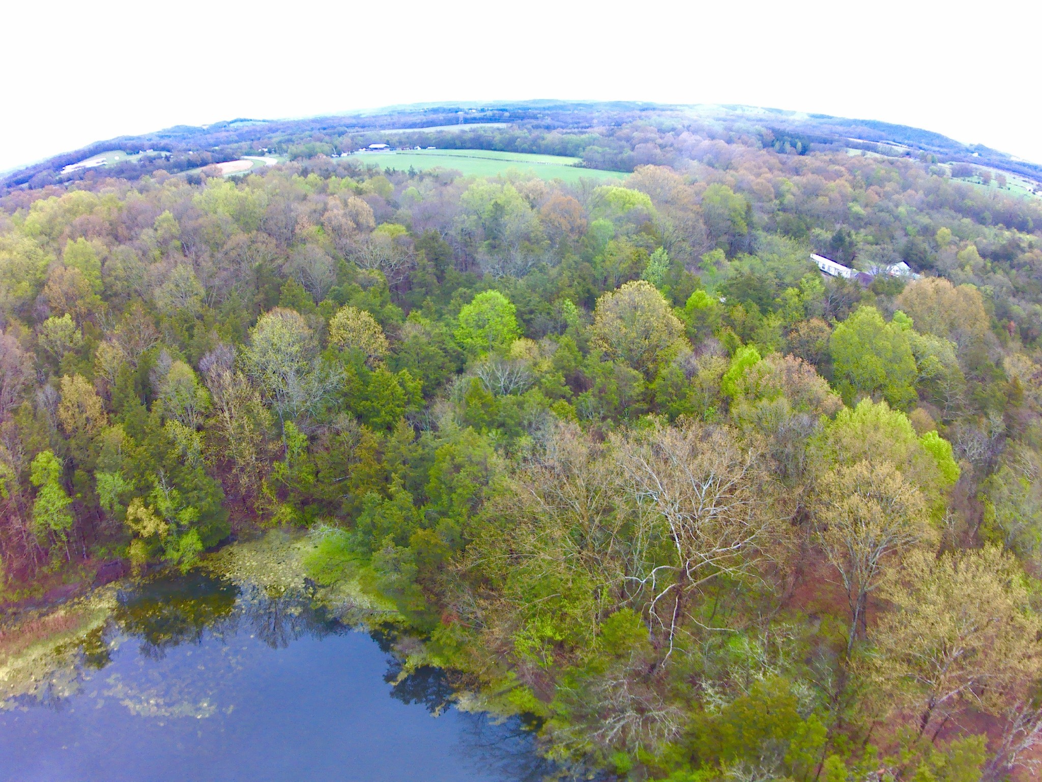 0 Highway 64 Arnold Road, E Wartrace TN 37183