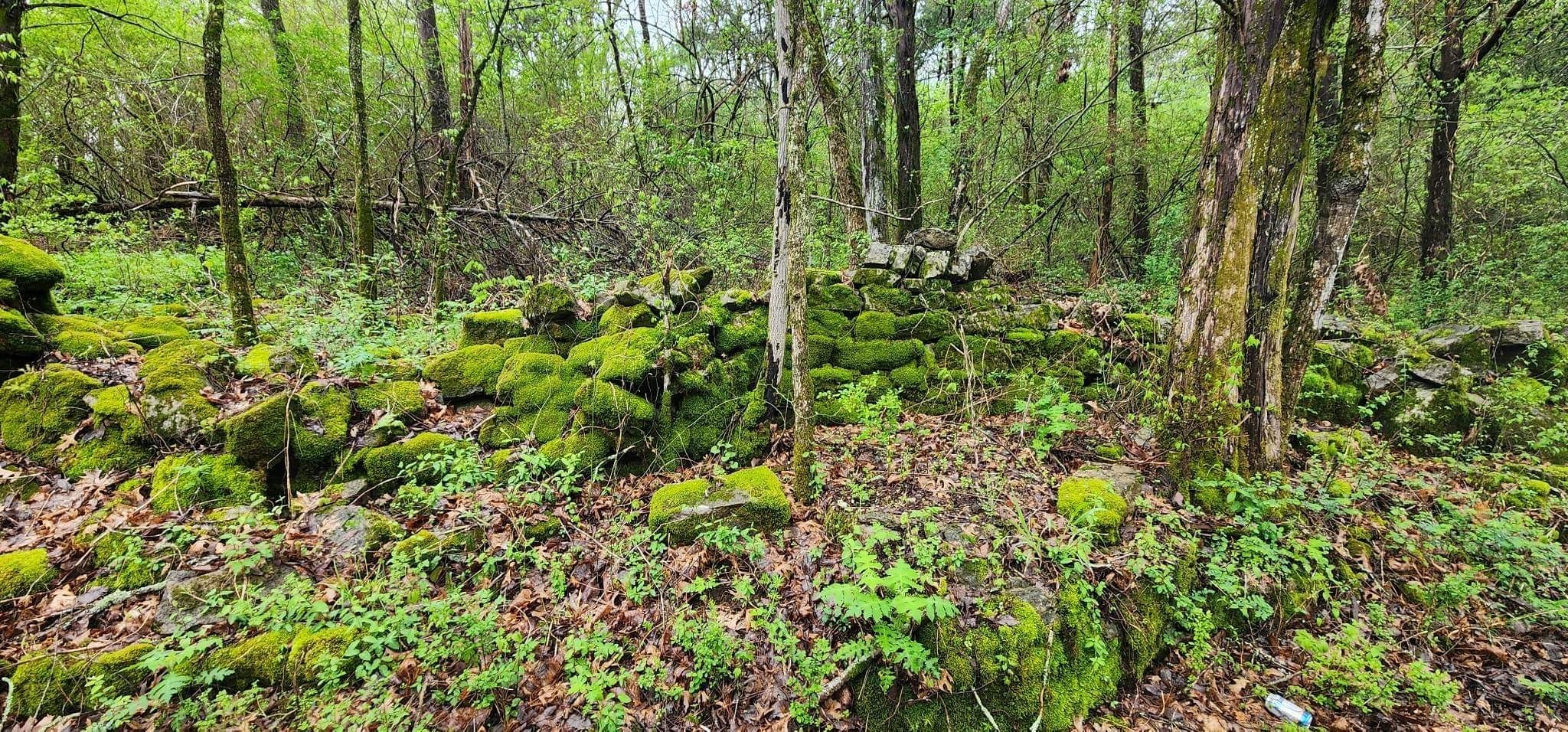 0 Highway 64 Arnold Road, E Wartrace TN 37183