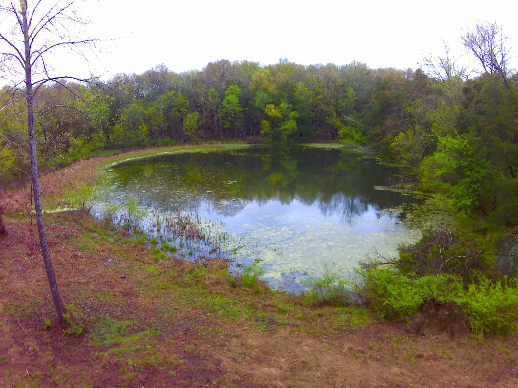0 Highway 64 Arnold Road, E Wartrace TN 37183