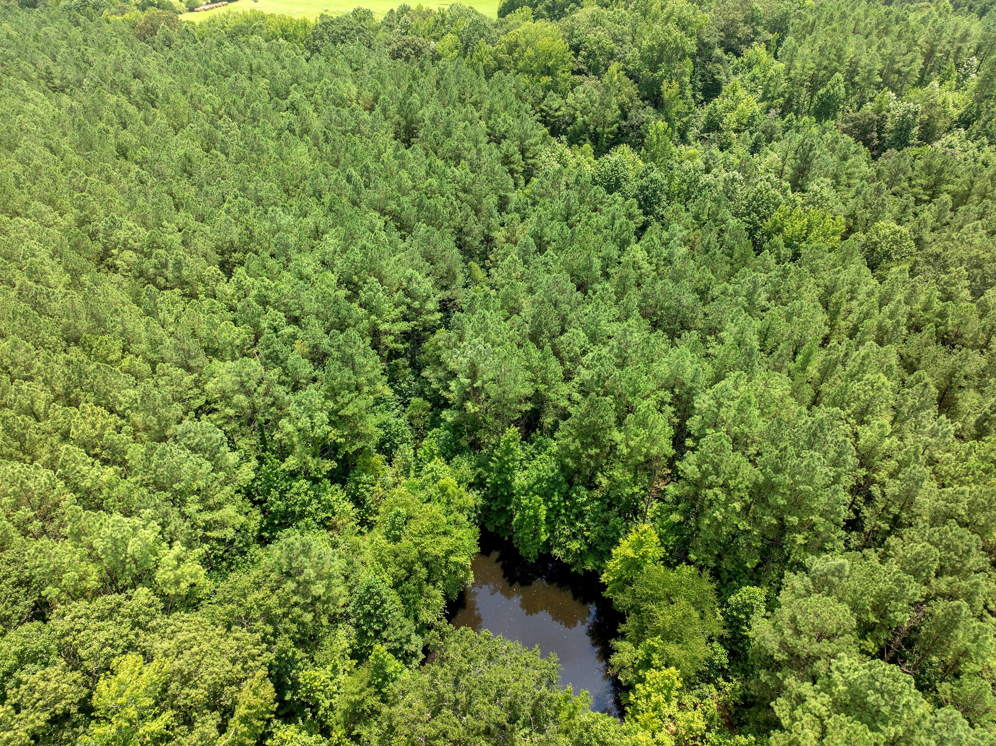 0 Darden Road Darden TN 38328