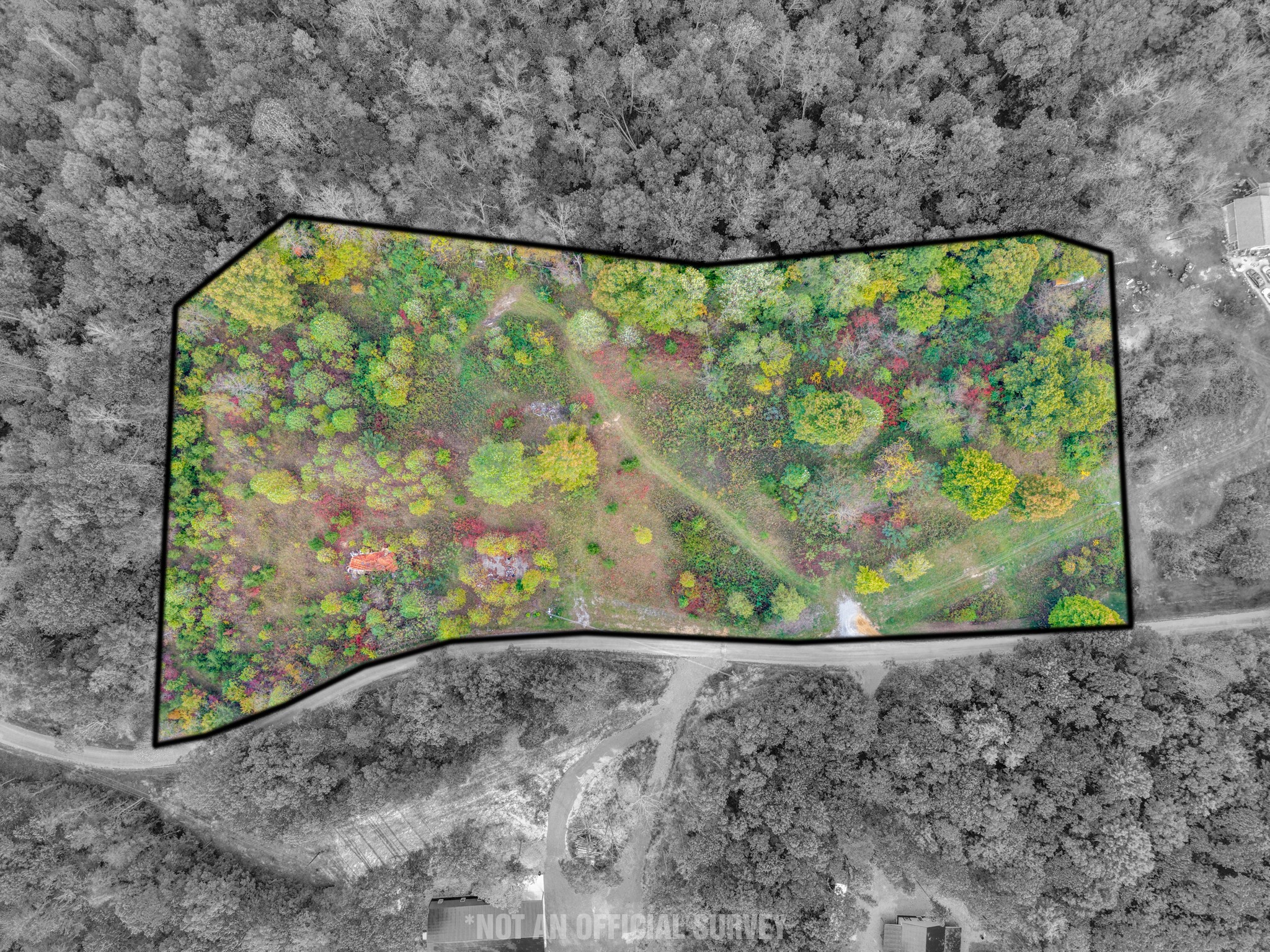 202 Sells Cemetery Road Wilder TN 38589