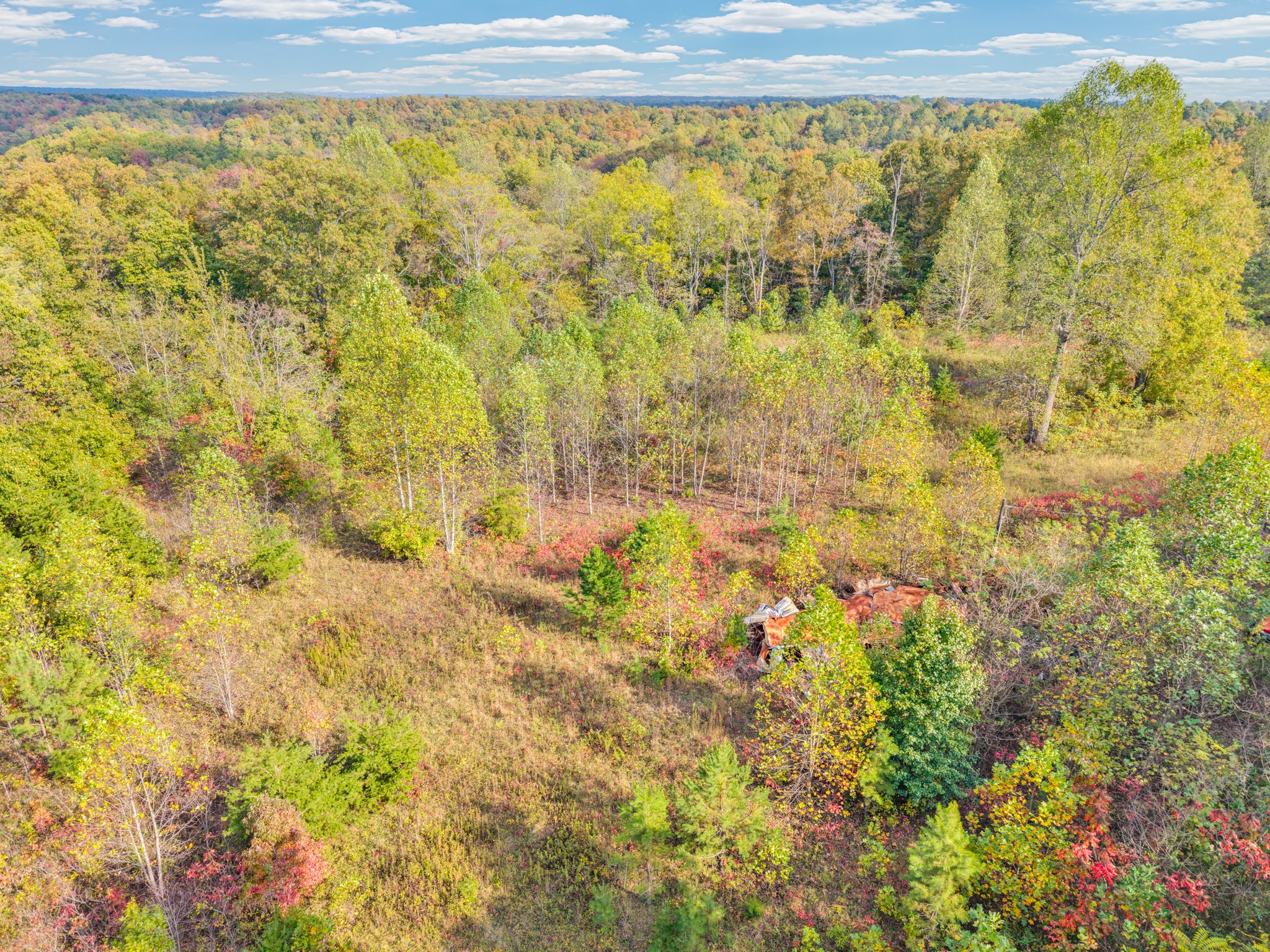 202 Sells Cemetery Road Wilder TN 38589