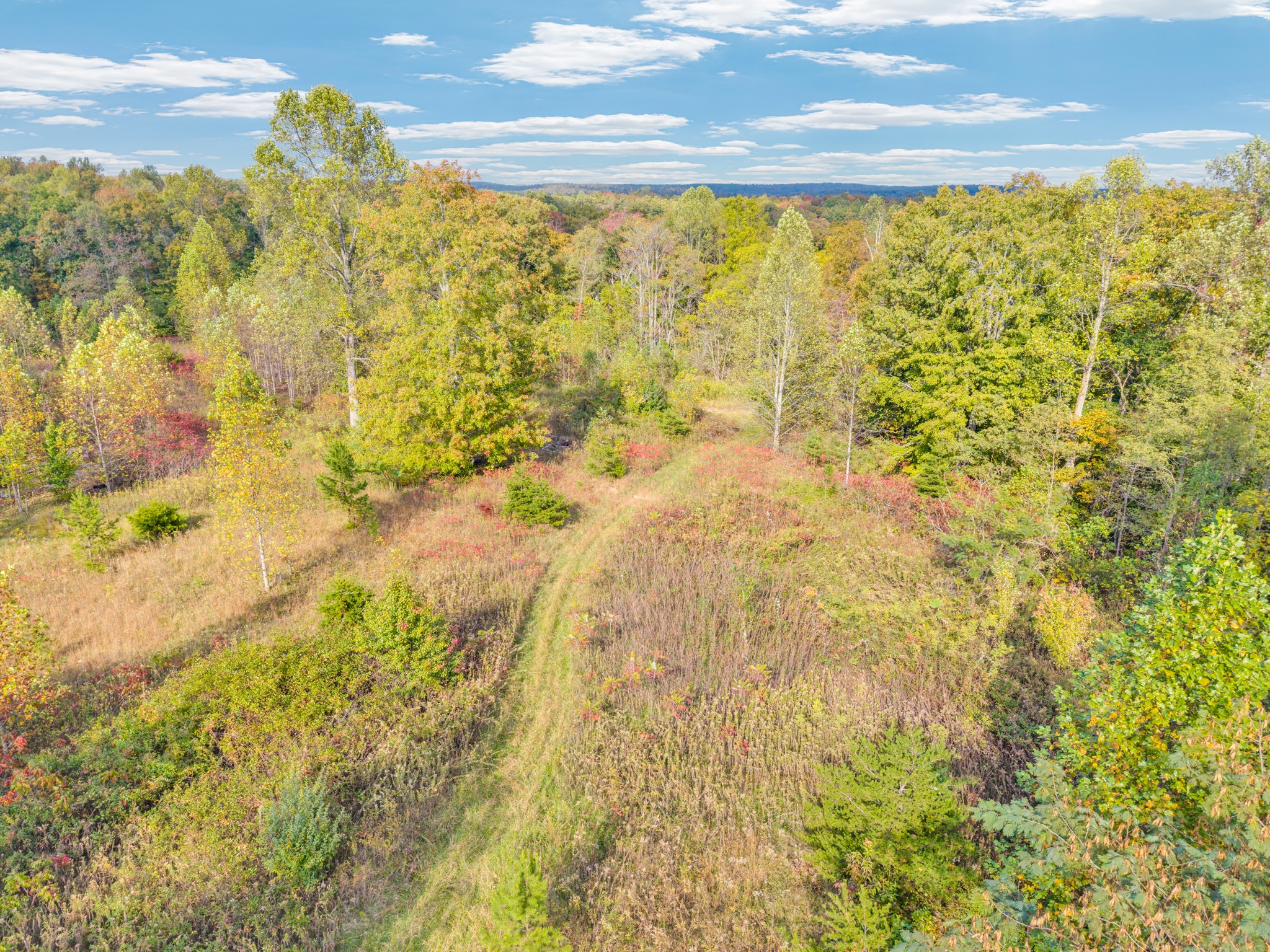 202 Sells Cemetery Road Wilder TN 38589