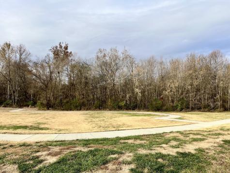 229B Folsom Pass Spring Hill TN 37174