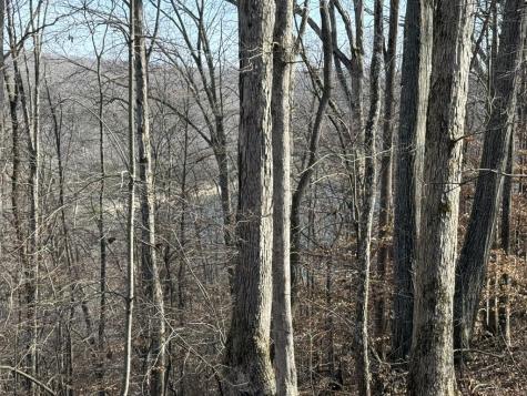 0 Mountain Harbor Drive Sparta TN 38583
