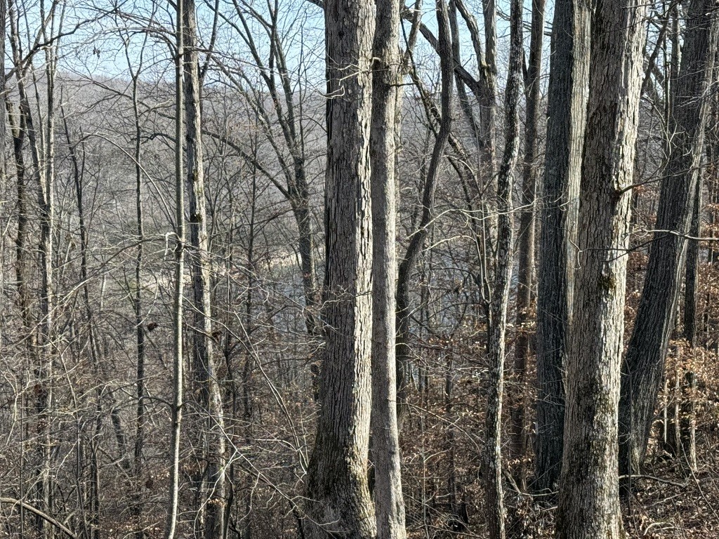 0 Mountain Harbor Drive Sparta TN 38583