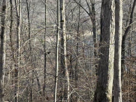 0 Mountain Harbor Drive Sparta TN 38583