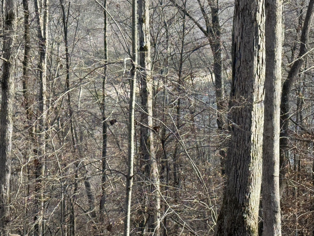 0 Mountain Harbor Drive Sparta TN 38583