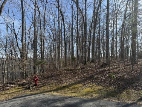 0 Mountain Harbor Drive Sparta TN 38583