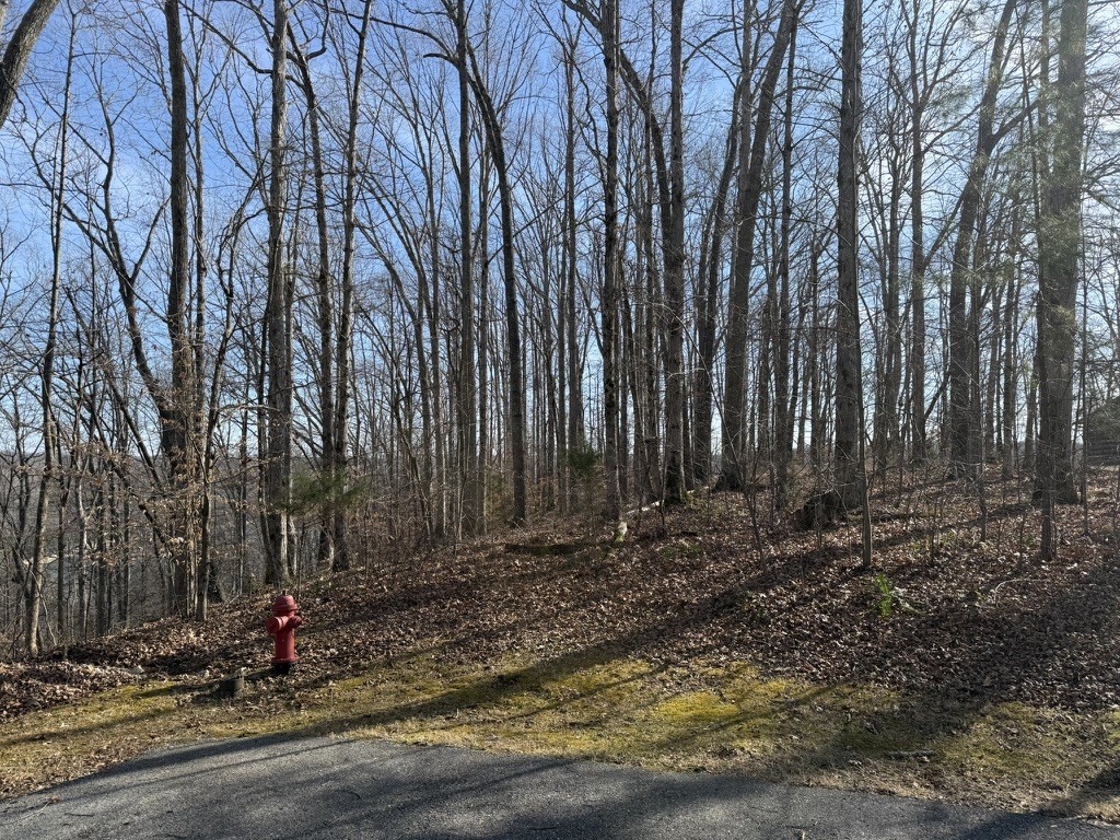 0 Mountain Harbor Drive Sparta TN 38583