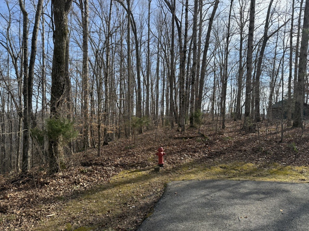 0 Mountain Harbor Drive Sparta TN 38583