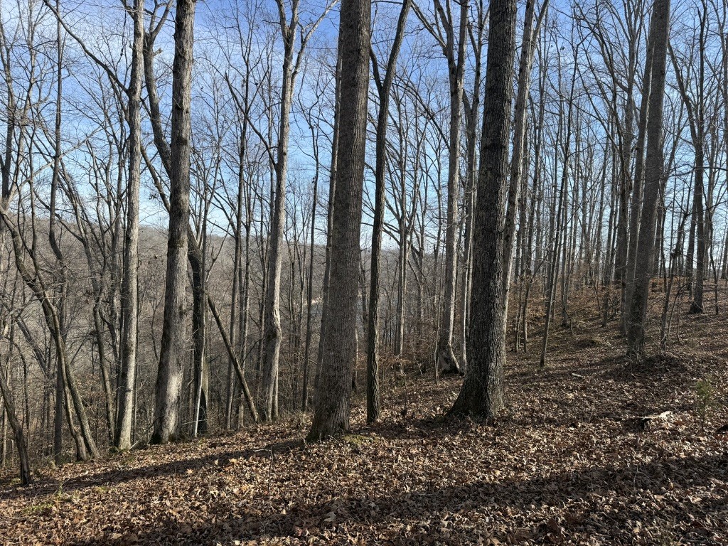 0 Mountain Harbor Drive Sparta TN 38583