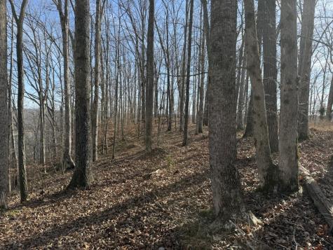 0 Mountain Harbor Drive Sparta TN 38583