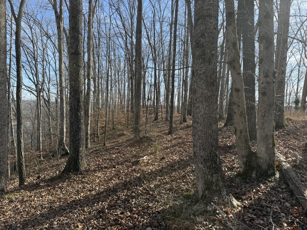 0 Mountain Harbor Drive Sparta TN 38583