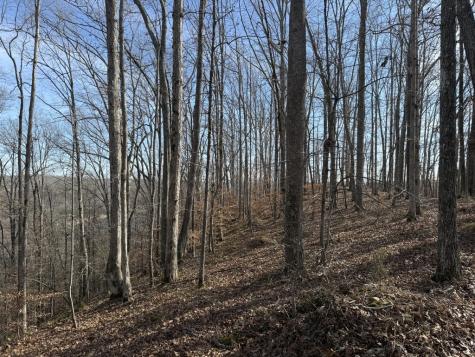 0 Mountain Harbor Drive Sparta TN 38583
