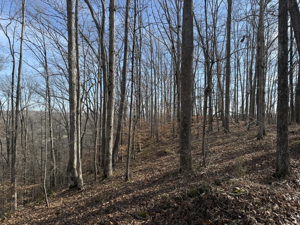 0 Mountain Harbor Drive Sparta TN 38583