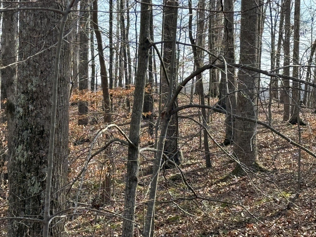 0 Mountain Harbor Drive Sparta TN 38583