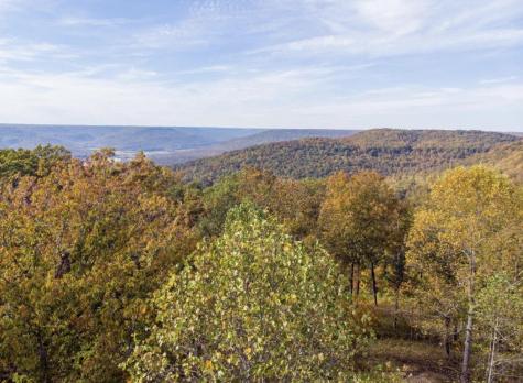 390 Volunteer Street Jasper TN 37347