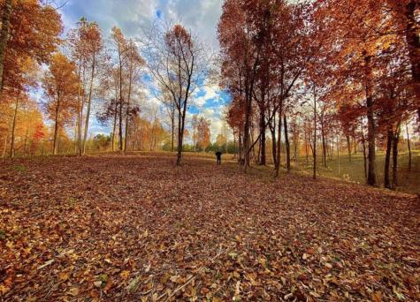 390 Volunteer Street Jasper TN 37347