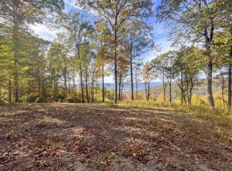 390 Volunteer Street Jasper TN 37347