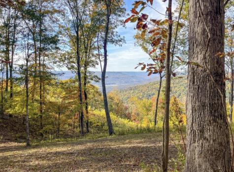 390 Volunteer Street Jasper TN 37347