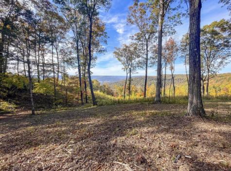 390 Volunteer Street Jasper TN 37347