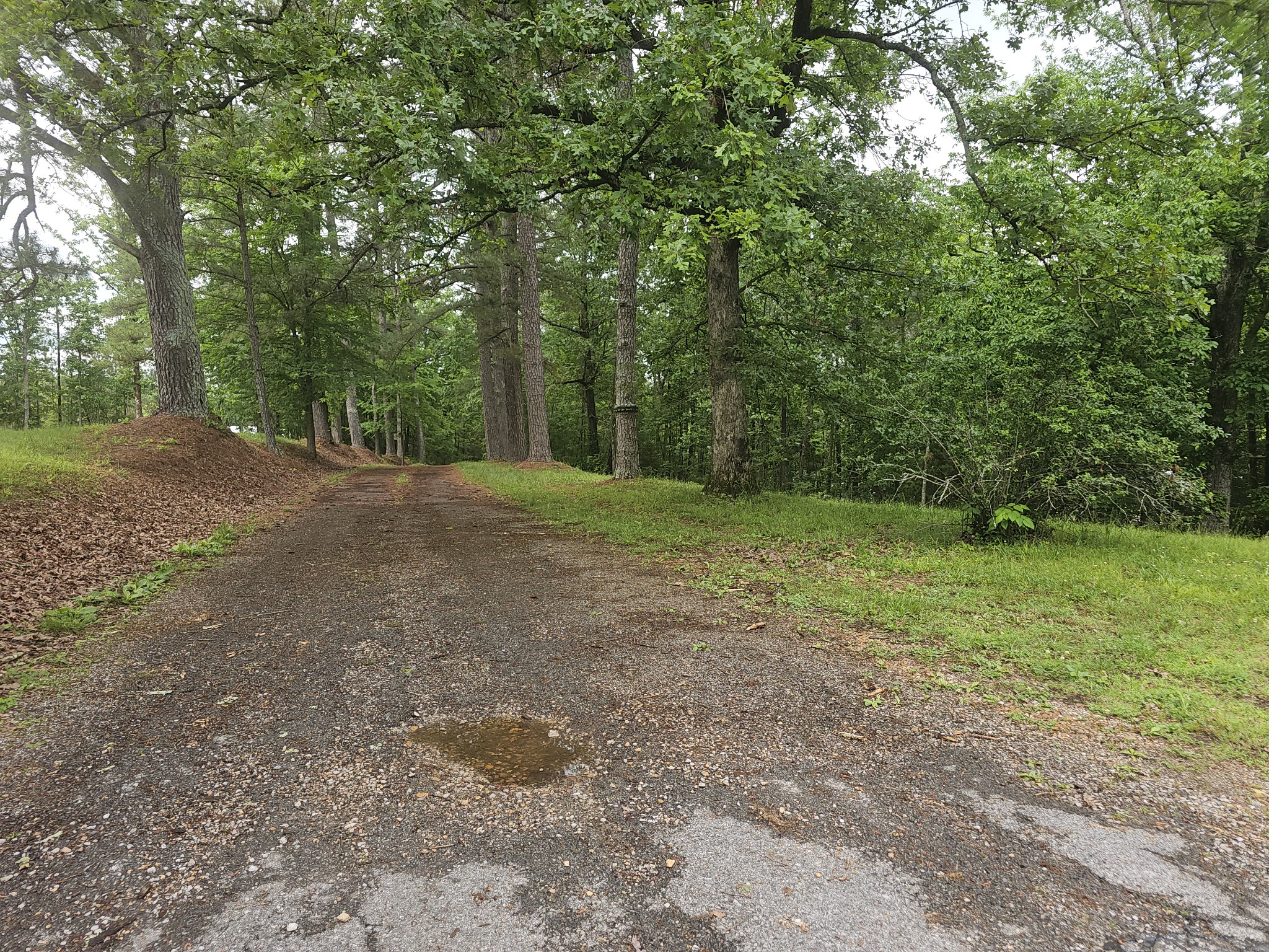 781 Highway 13, S Waverly TN 37185
