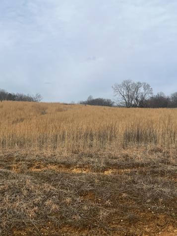 0 Hidden River Road Rock Island TN 38581