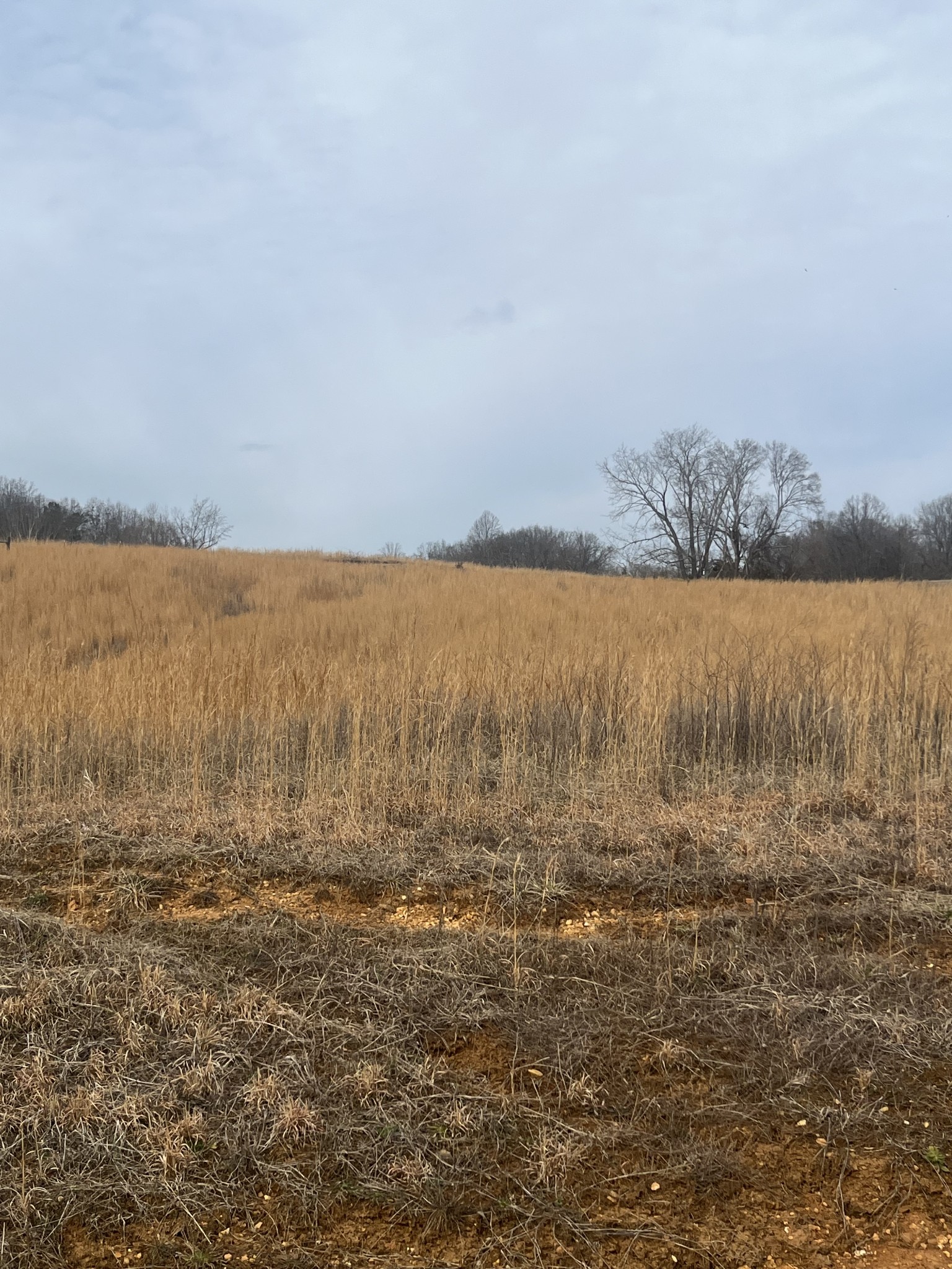 0 Hidden River Road Rock Island TN 38581