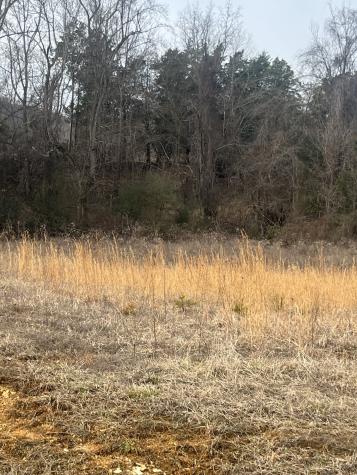 0 Hidden River Road Rock Island TN 38581