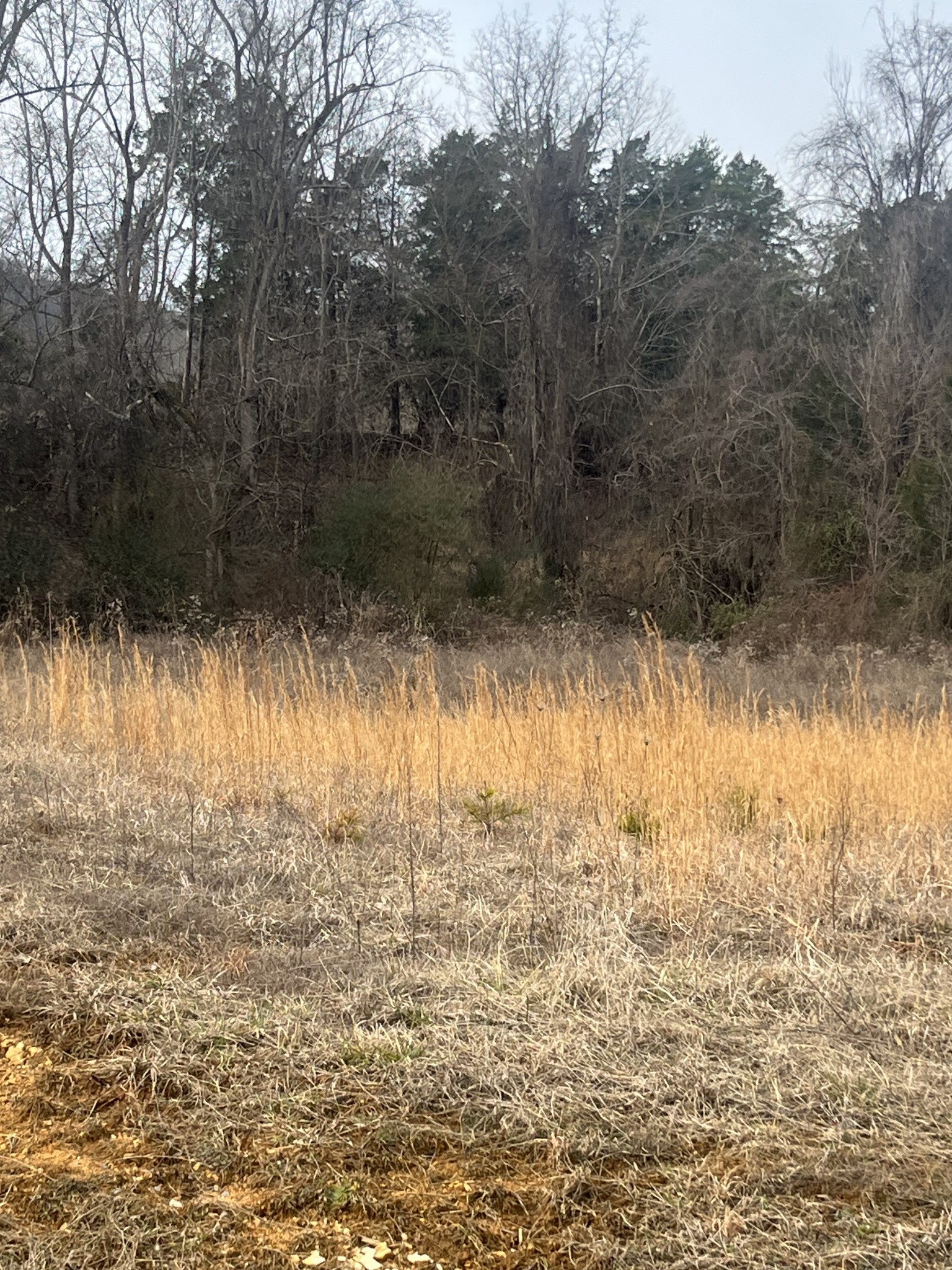 0 Hidden River Road Rock Island TN 38581