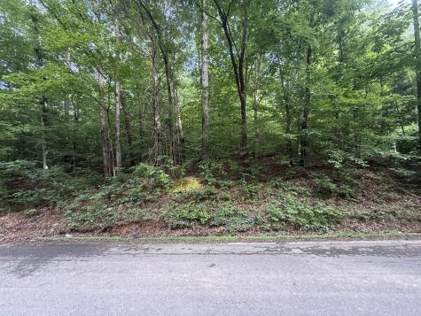 0 Caney Branch Road Stewart TN 37175