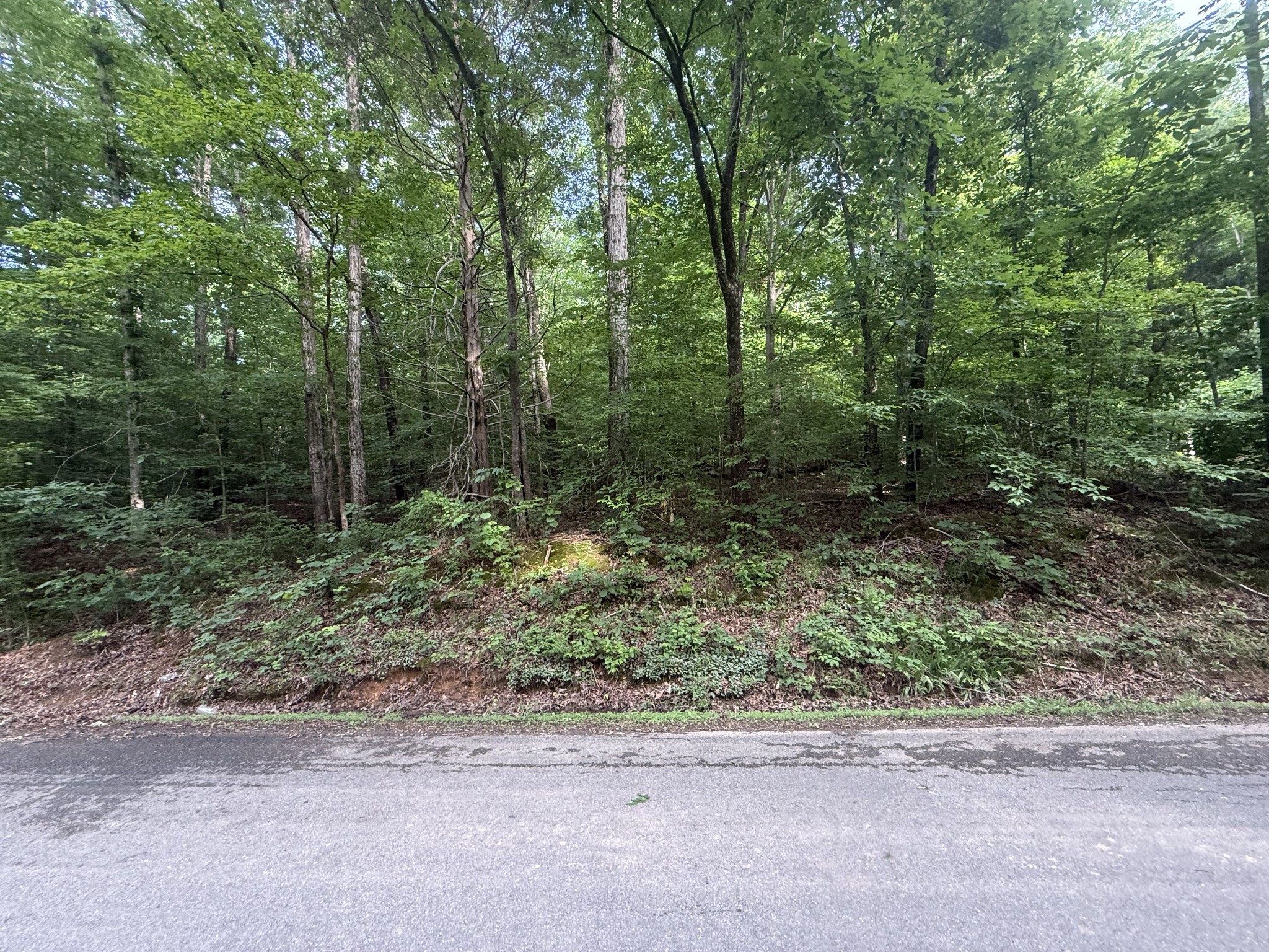 0 Caney Branch Road Stewart TN 37175