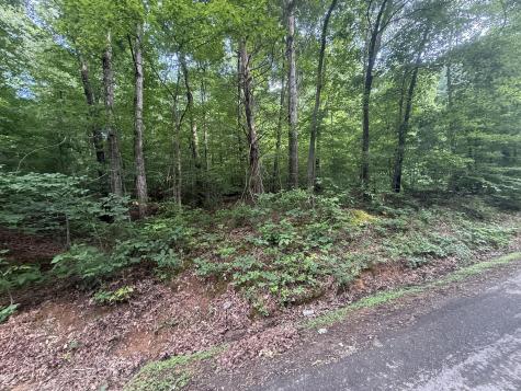 0 Caney Branch Road Stewart TN 37175