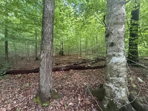 0 Caney Branch Road Stewart TN 37175
