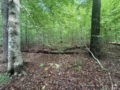 0 Caney Branch Road Stewart TN 37175