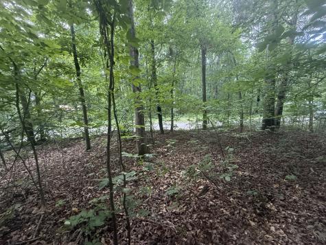 0 Caney Branch Road Stewart TN 37175