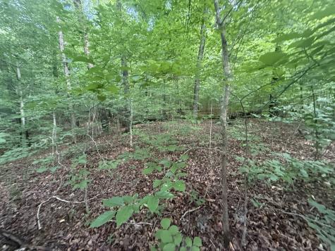 0 Caney Branch Road Stewart TN 37175