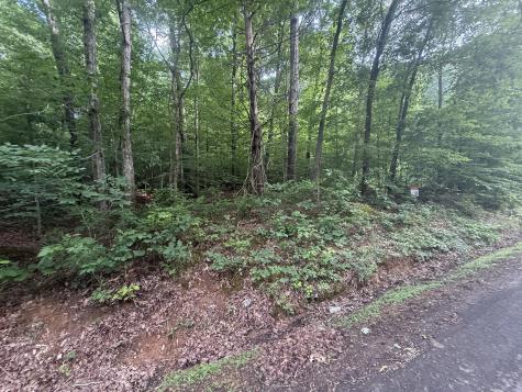 0 Caney Branch Road Stewart TN 37175