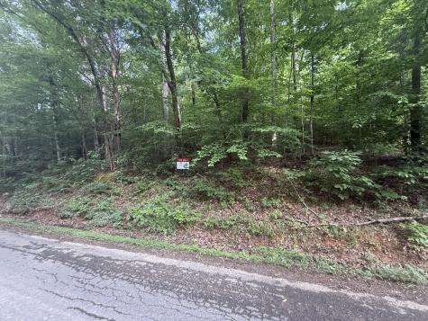 0 Caney Branch Road Stewart TN 37175