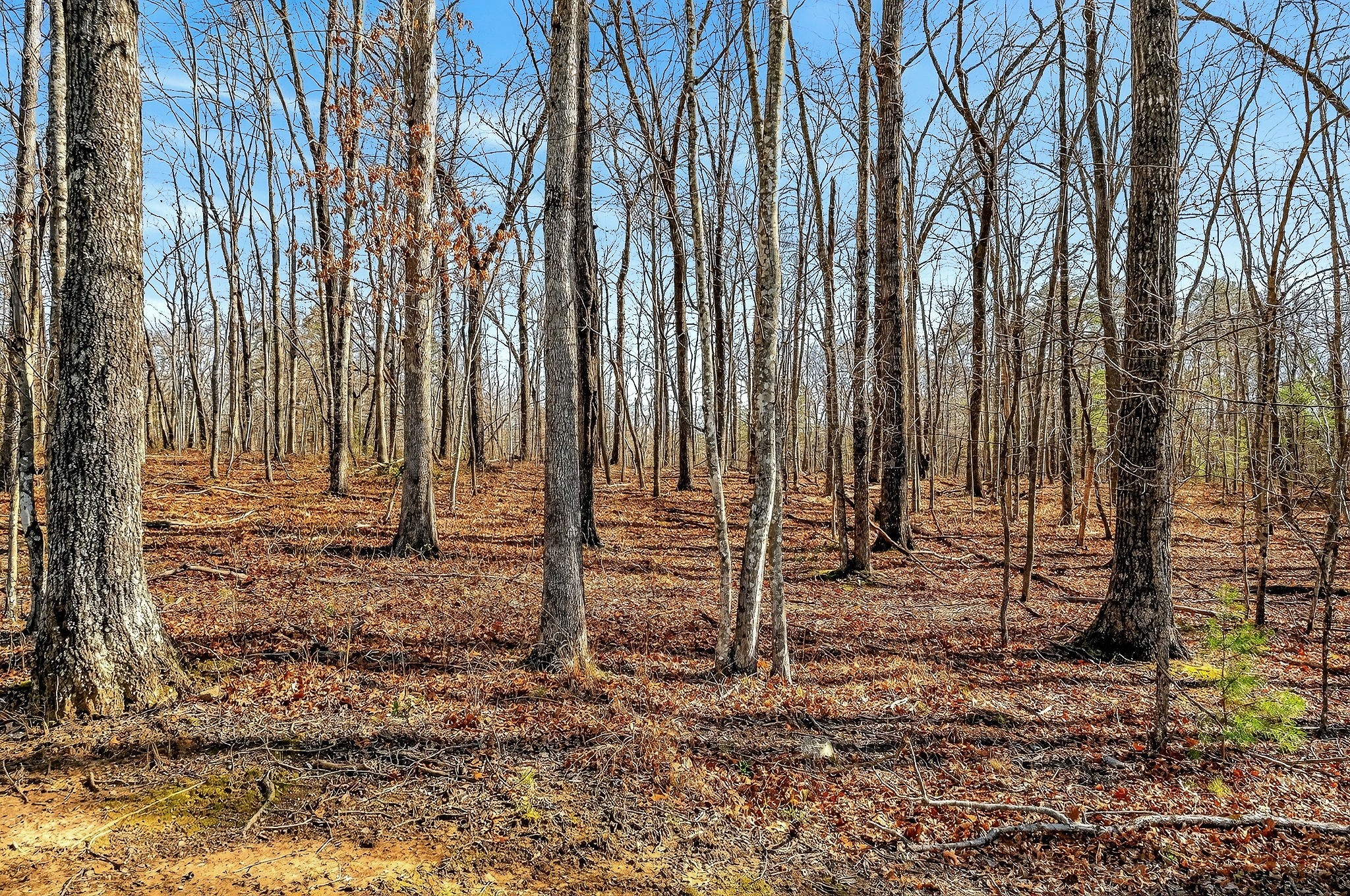 411 Cumberland Cove Road Monterey TN 38574