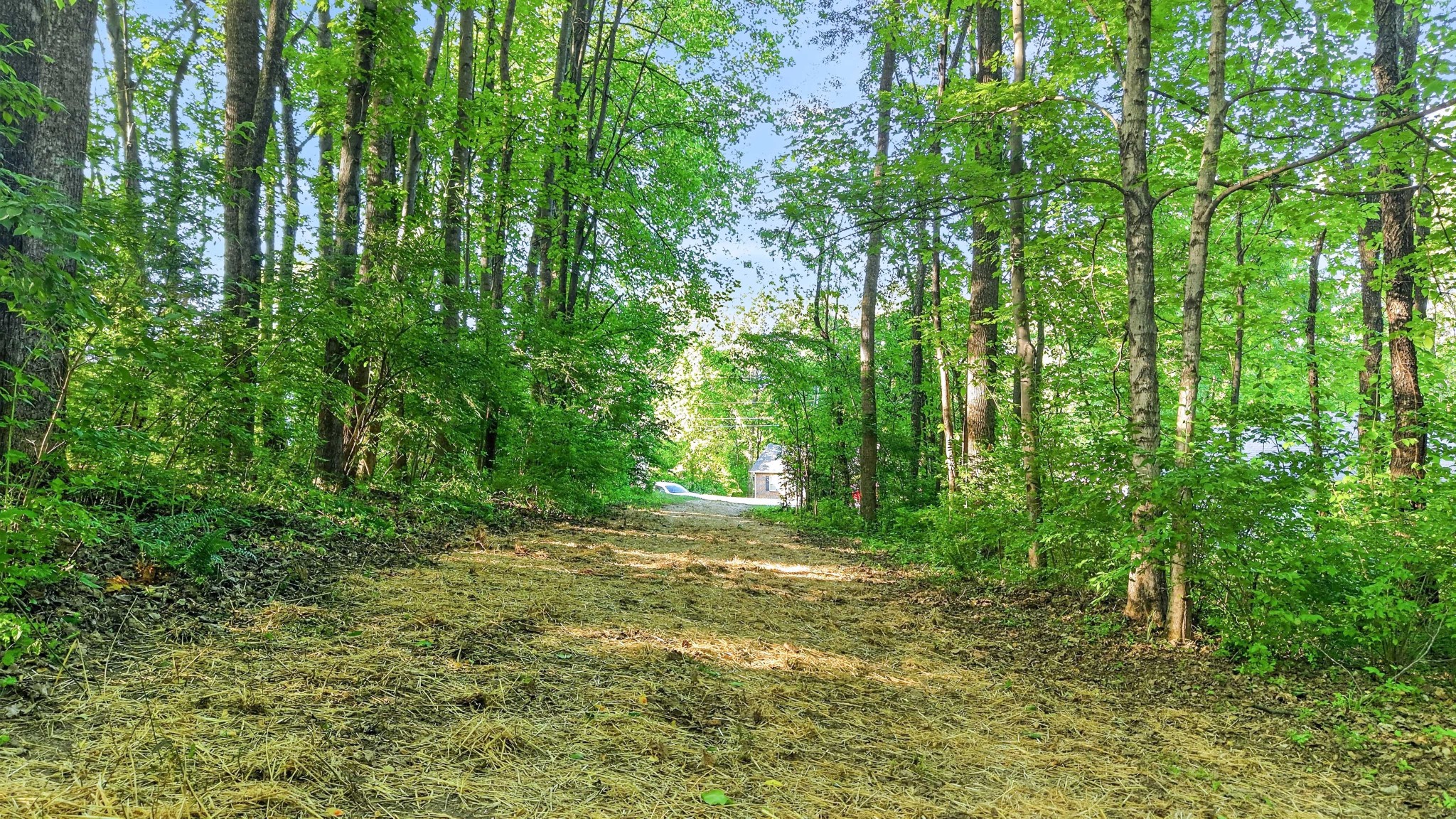 212 Juanita Drive Springfield TN 37172