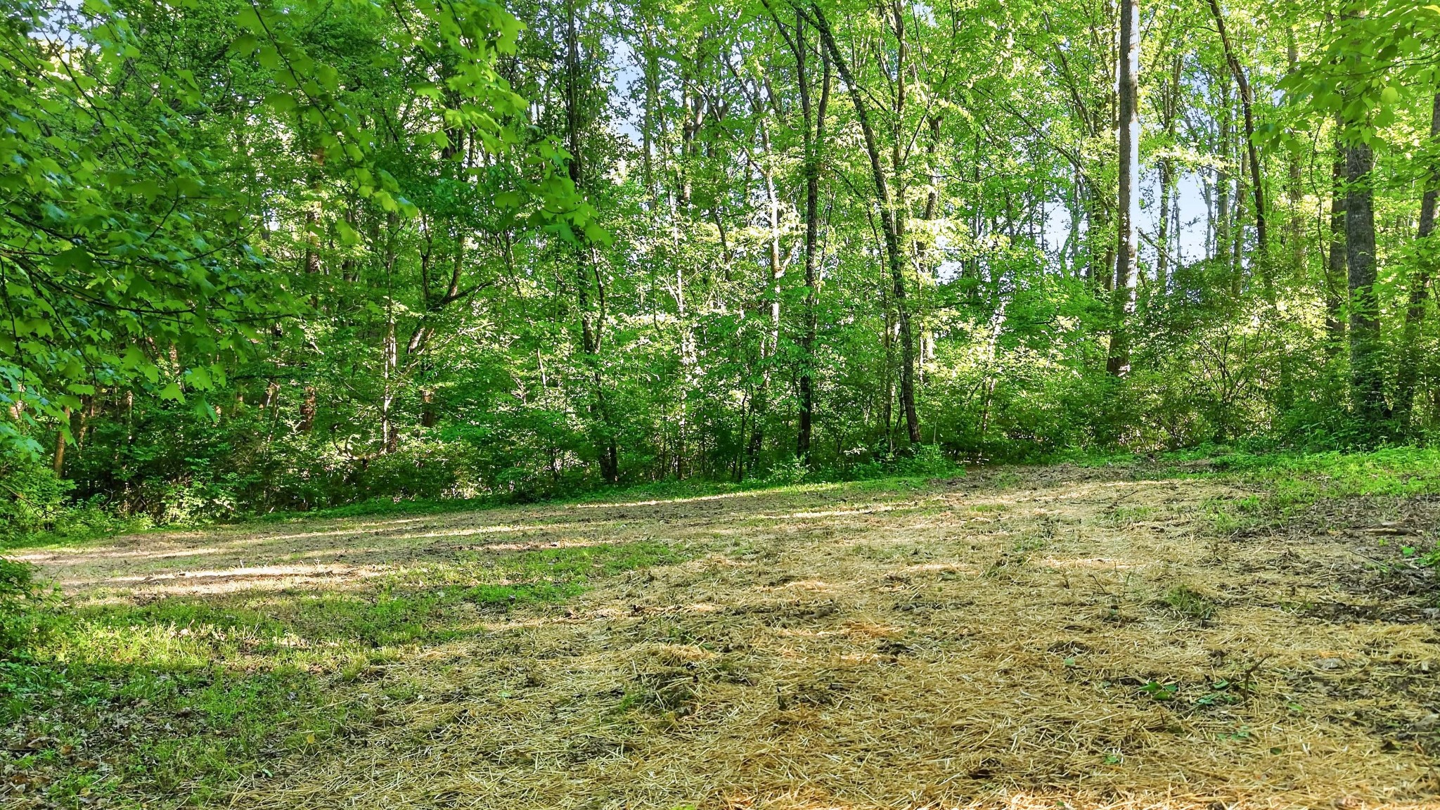 212 Juanita Drive Springfield TN 37172