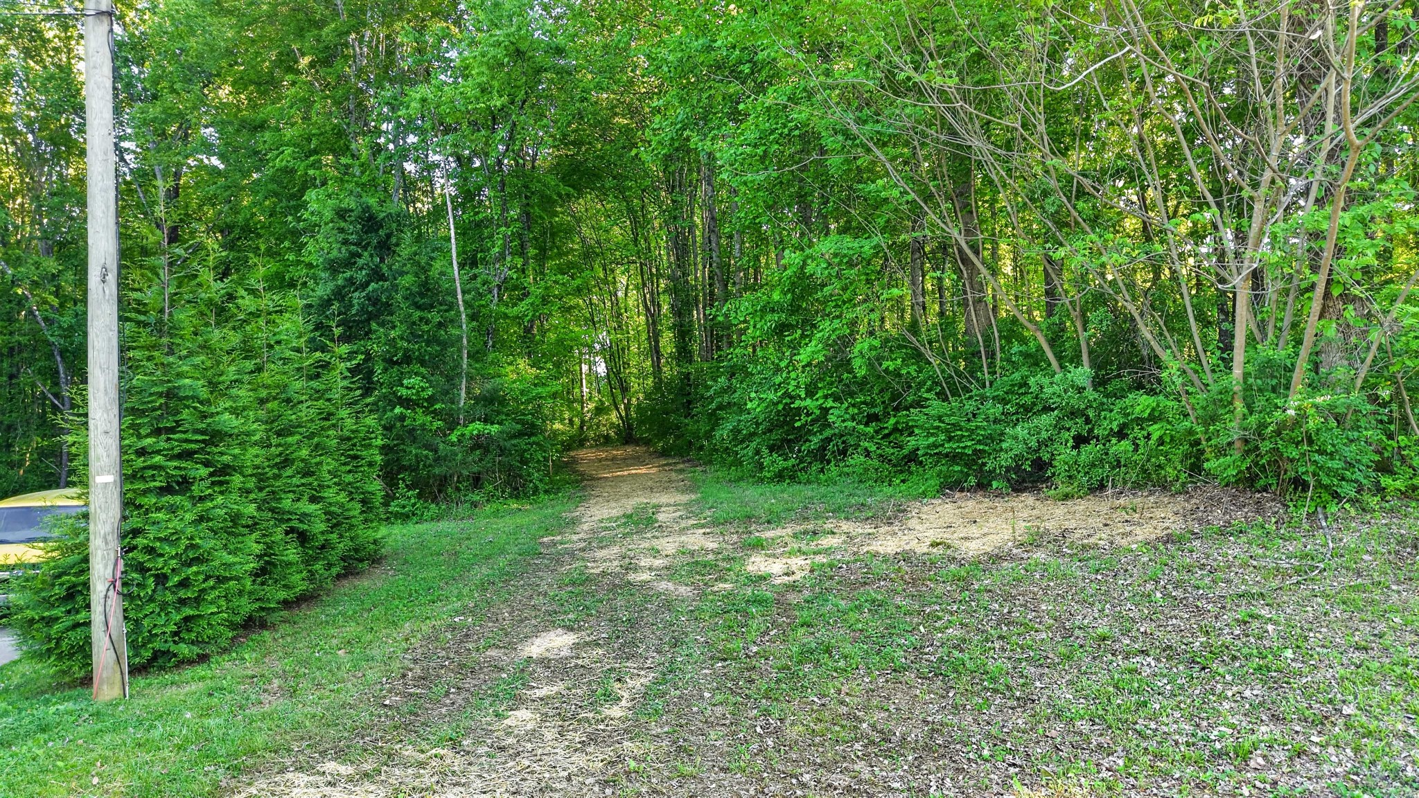 212 Juanita Drive Springfield TN 37172