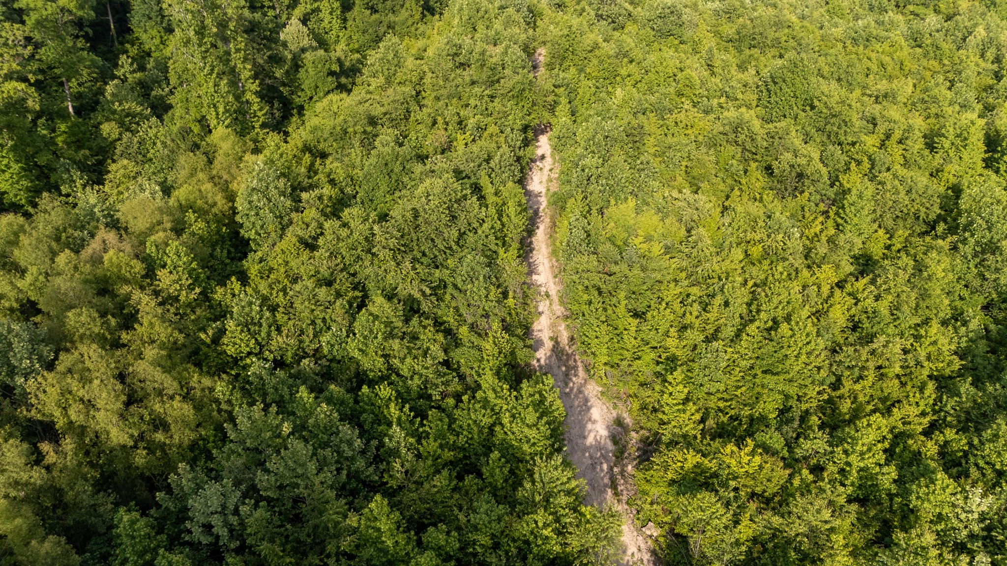 0 Mcadams Road Greenfield TN 38230