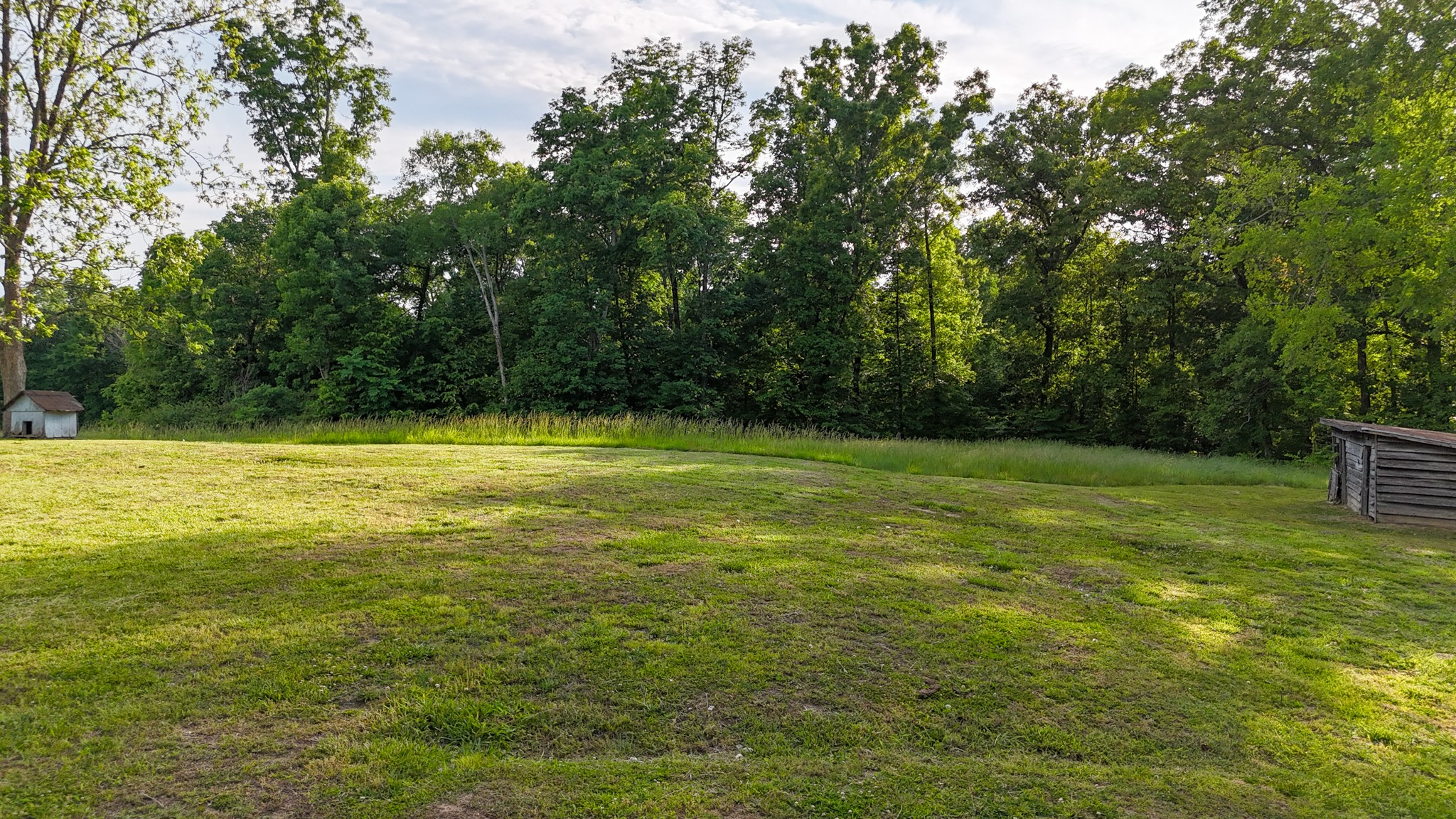 0 Mcadams Road Greenfield TN 38230